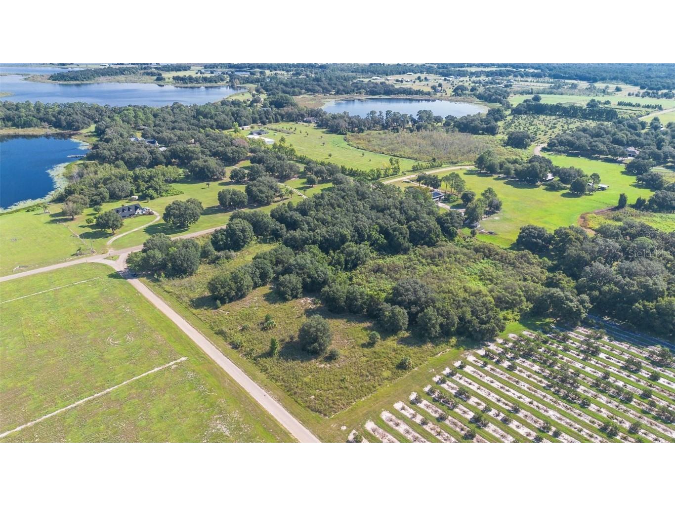 Yale Hammock Road Umatilla FL 32784 G5101325 image15