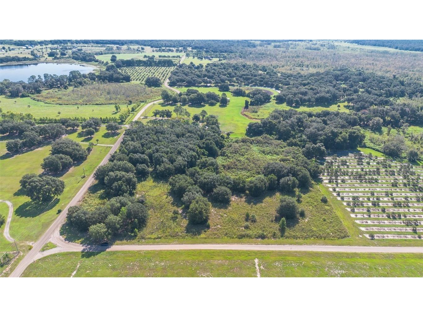 Yale Hammock Road Umatilla FL 32784 G5101325 image17