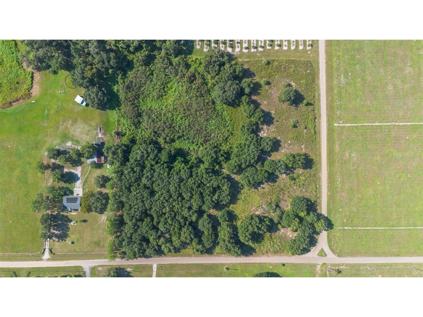 Yale Hammock Road Umatilla FL 32784 G5101325 image19
