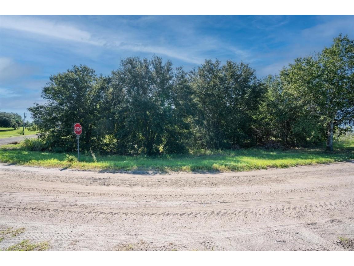 Yale Hammock Road Umatilla FL 32784 G5101325 image22