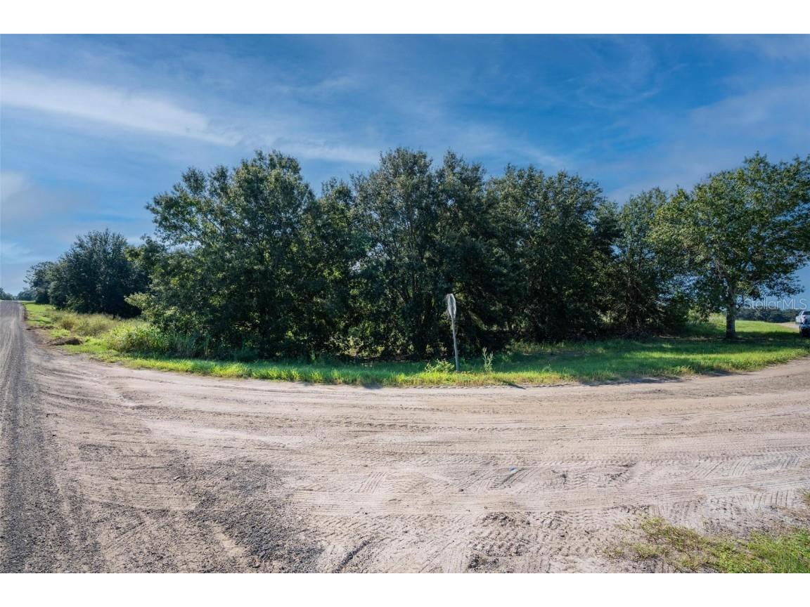 Yale Hammock Road Umatilla FL 32784 G5101325 image23