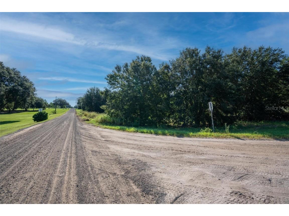 Yale Hammock Road Umatilla FL 32784 G5101325 image24