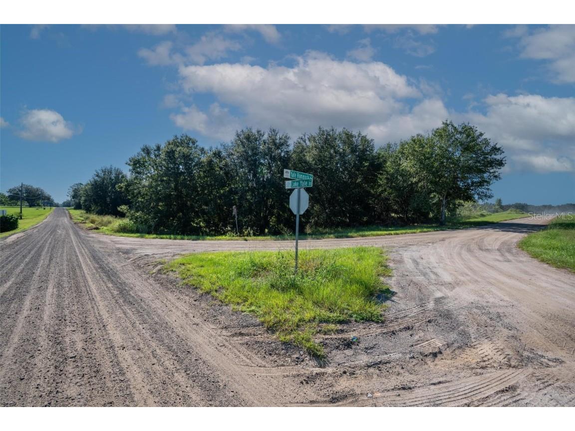 Yale Hammock Road Umatilla FL 32784 G5101325 image25