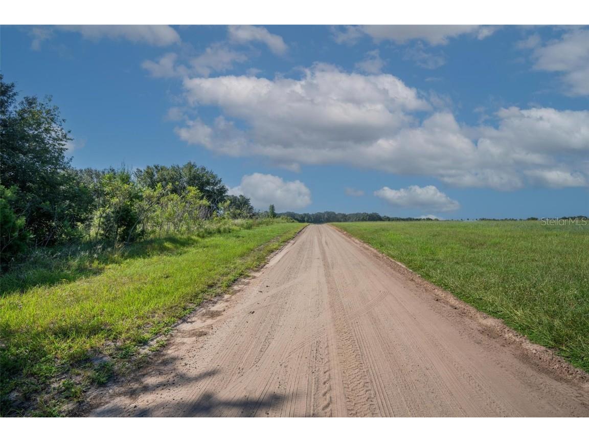 Yale Hammock Road Umatilla FL 32784 G5101325 image27