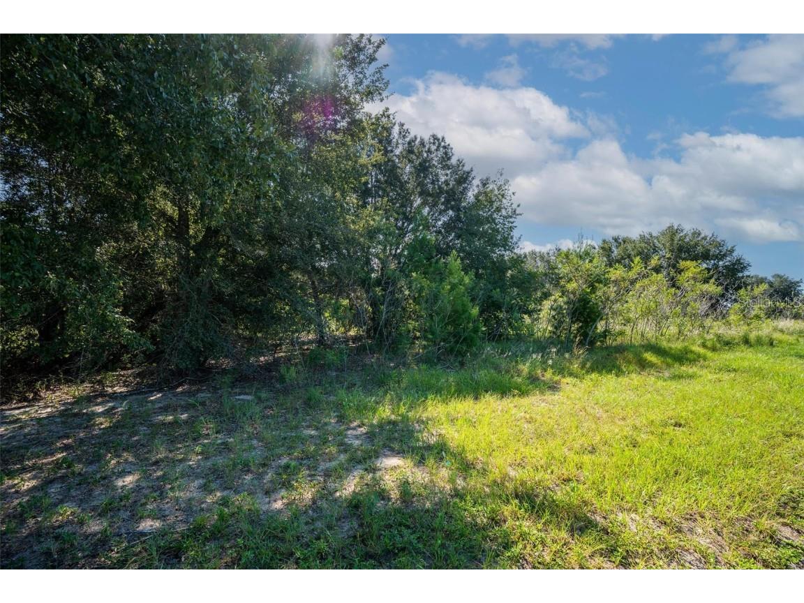 Yale Hammock Road Umatilla FL 32784 G5101325 image28