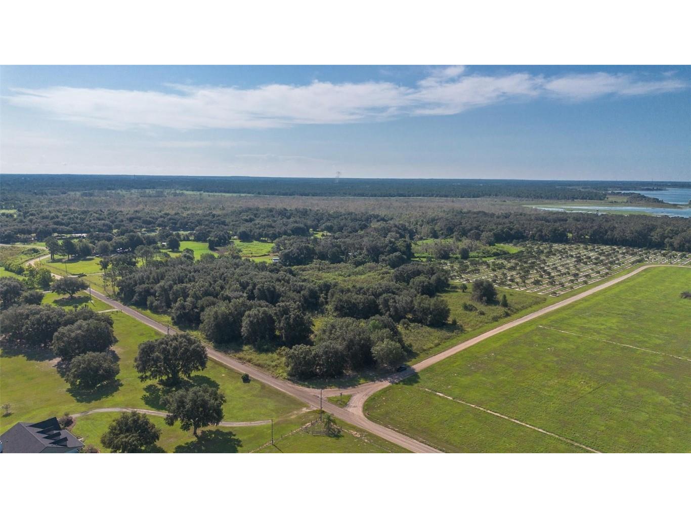 Yale Hammock Road Umatilla FL 32784 G5101325 image5