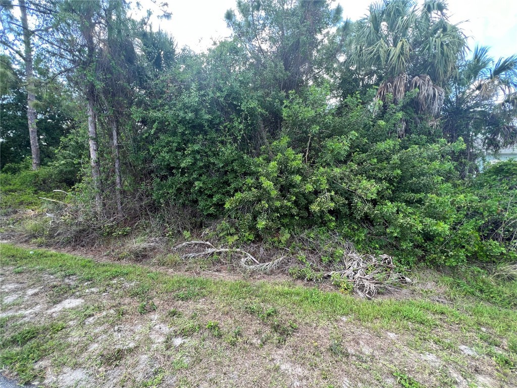 Yalta Terrace North Port FL 34286 C7459637 image1