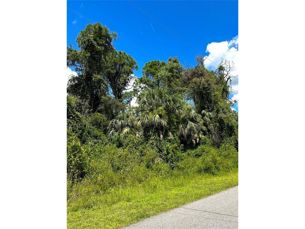 Yalta Terrace North Port FL 34286 C7480660 image1