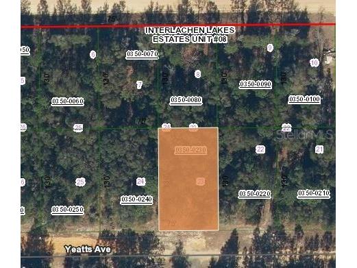 Yeatts Avenue Interlachen FL 32148 OM679153 image1