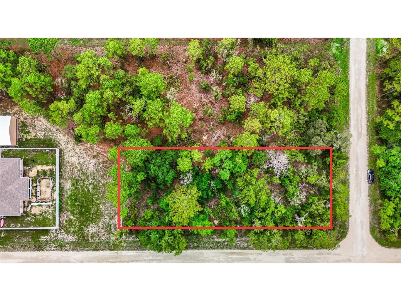 Yellow Tail Avenue Brooksville FL 34614 T3542911 image1