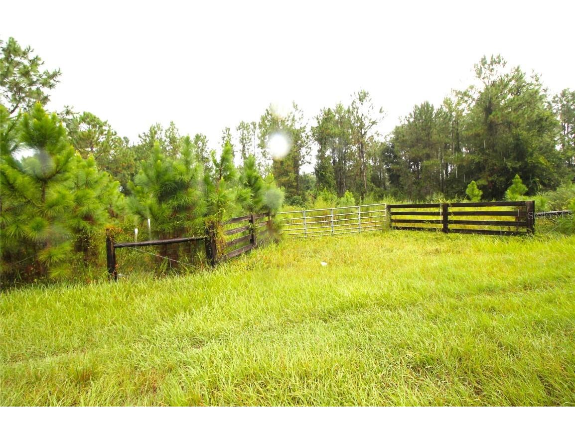 Youth Camp Road Groveland FL 34736 G5101133 image1