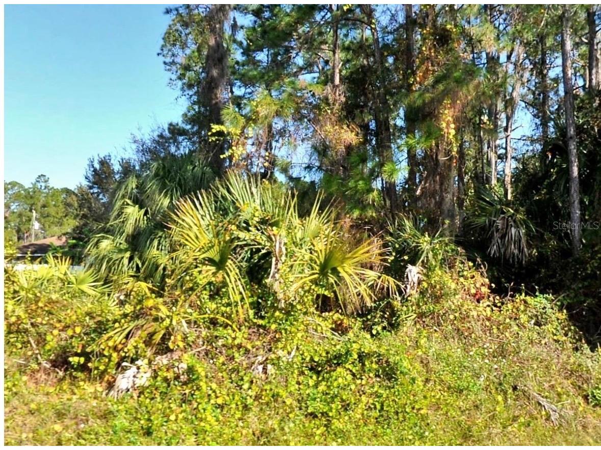 Zambrana Avenue North Port FL 34286 GC539592 image1