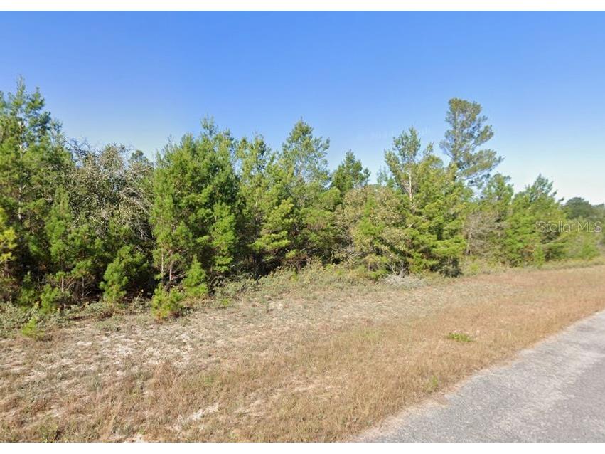 Zamora Avenue Chipley FL 32428 TB8497424 image2