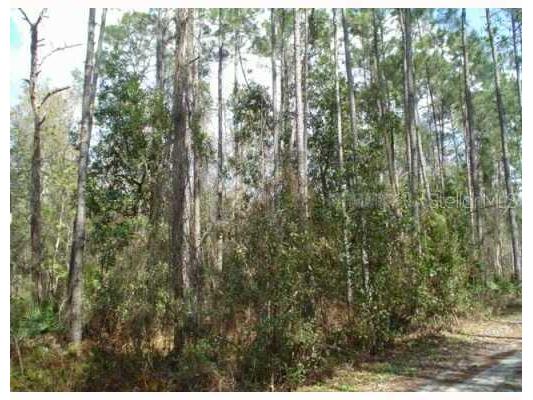  Zephyrhills FL 33544 T2505952 image1