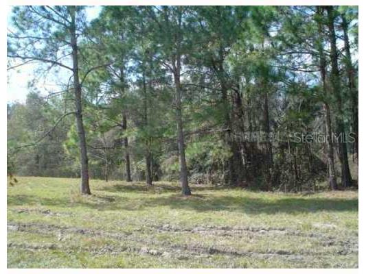  Zephyrhills FL 33544 T2505952 image2