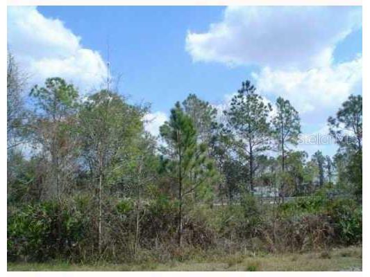  Zephyrhills FL 33544 T2505952 image3