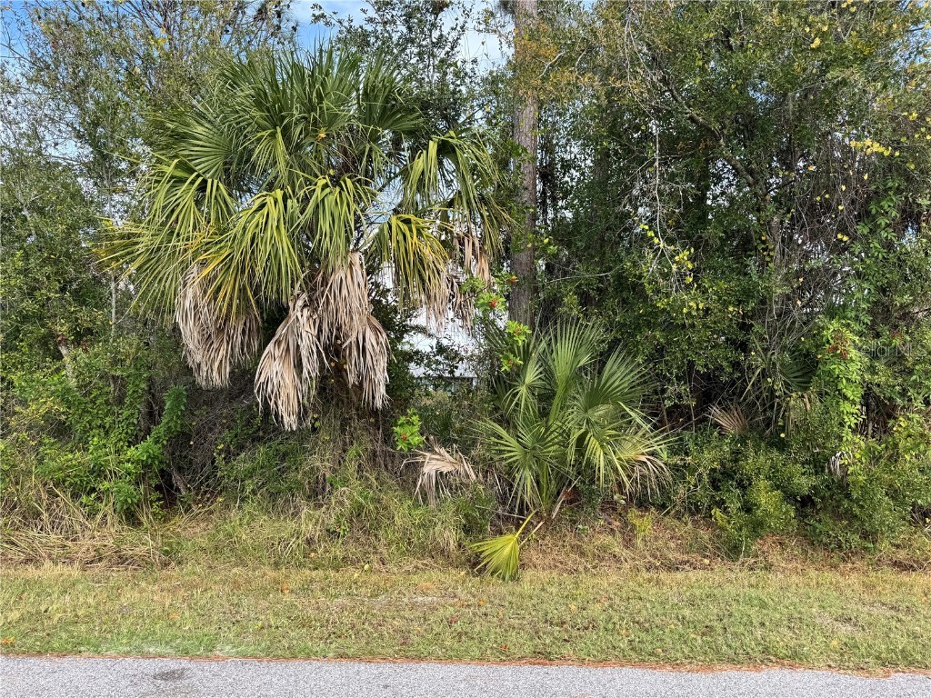 Zuber Lane North Port FL 34286 D6145271 image4