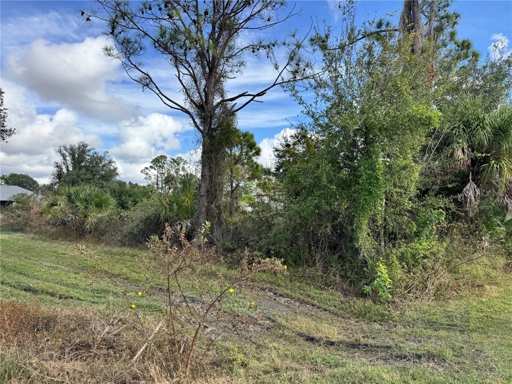 Zuber Lane North Port FL 34286 D6145271 image5