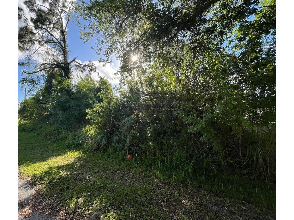 Zuyder Terrace North Port FL 34286 N6132033 image1