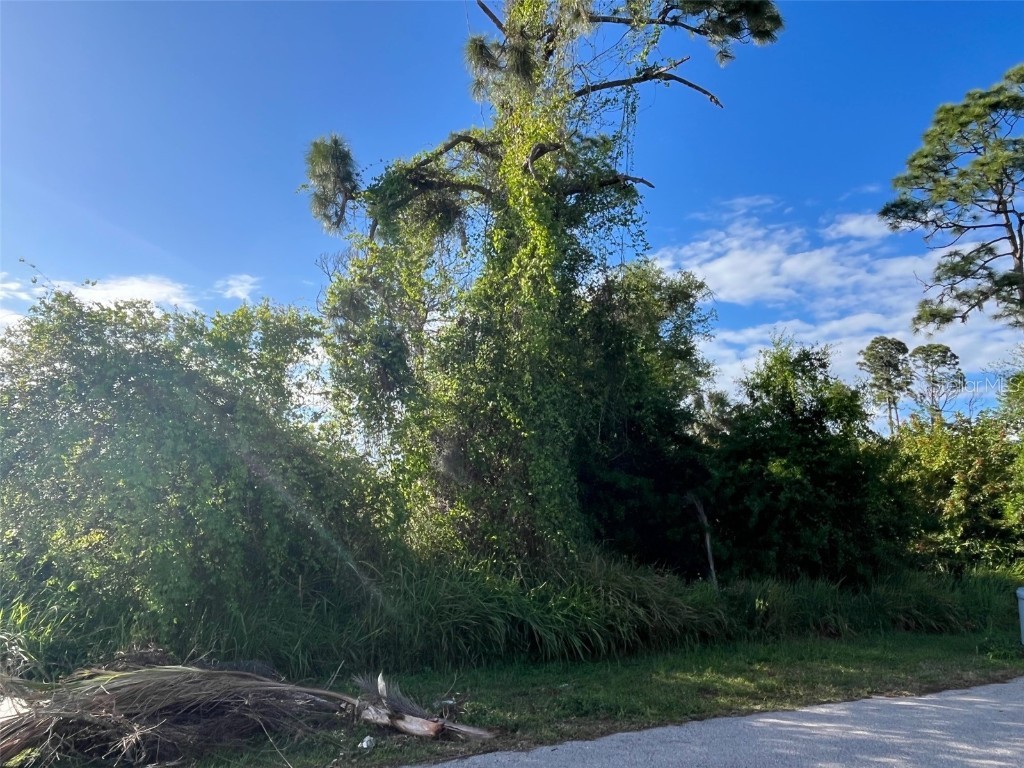 Zuyder Terrace North Port FL 34286 N6132033 image2