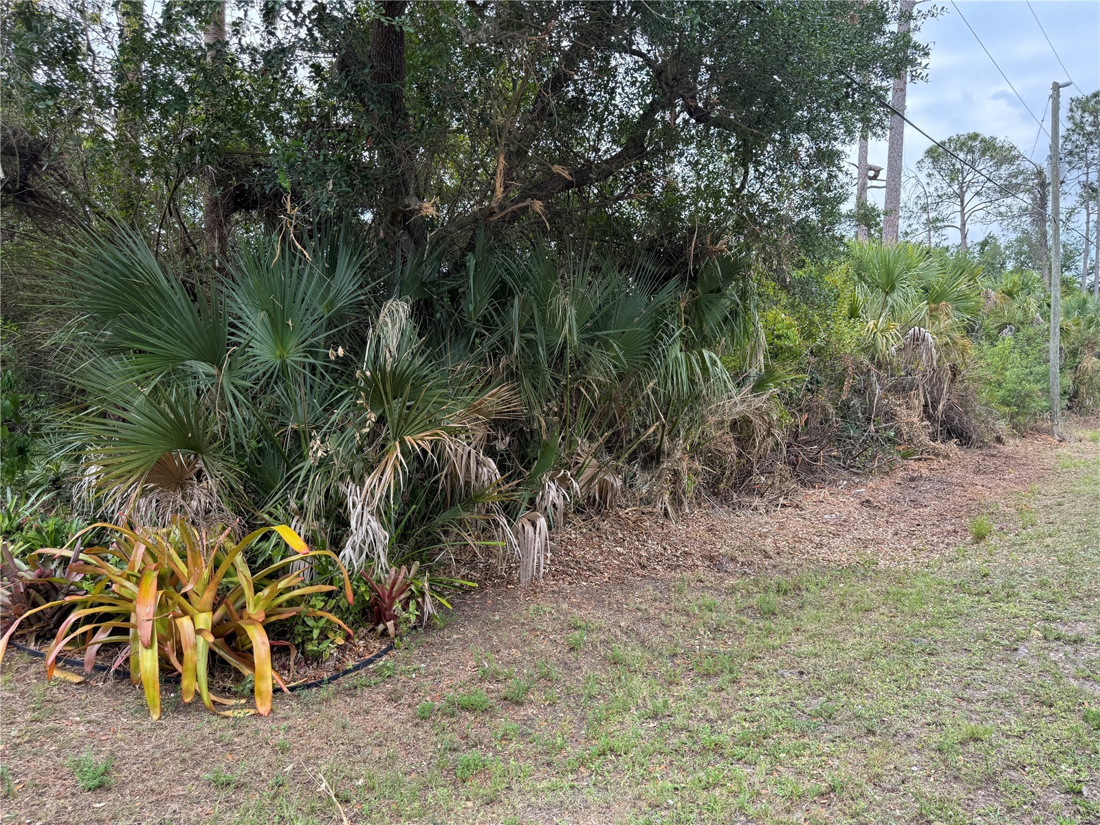 Zuyder Terrace North Port FL 34286 N6144311 image11