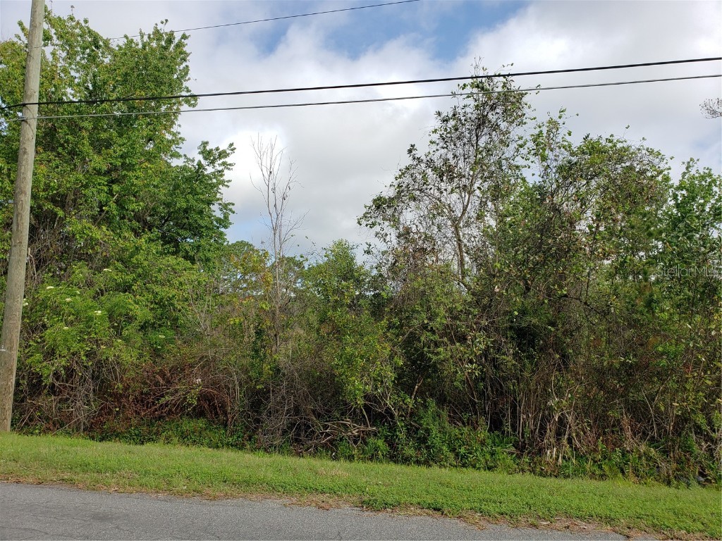 0 0 Starry Street Orlando FL 32833 O6009526 image1