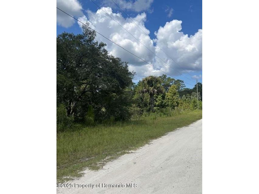 0 0 Yellow Frog Avenue Weeki Wachee FL 34614 TB8417916 image2