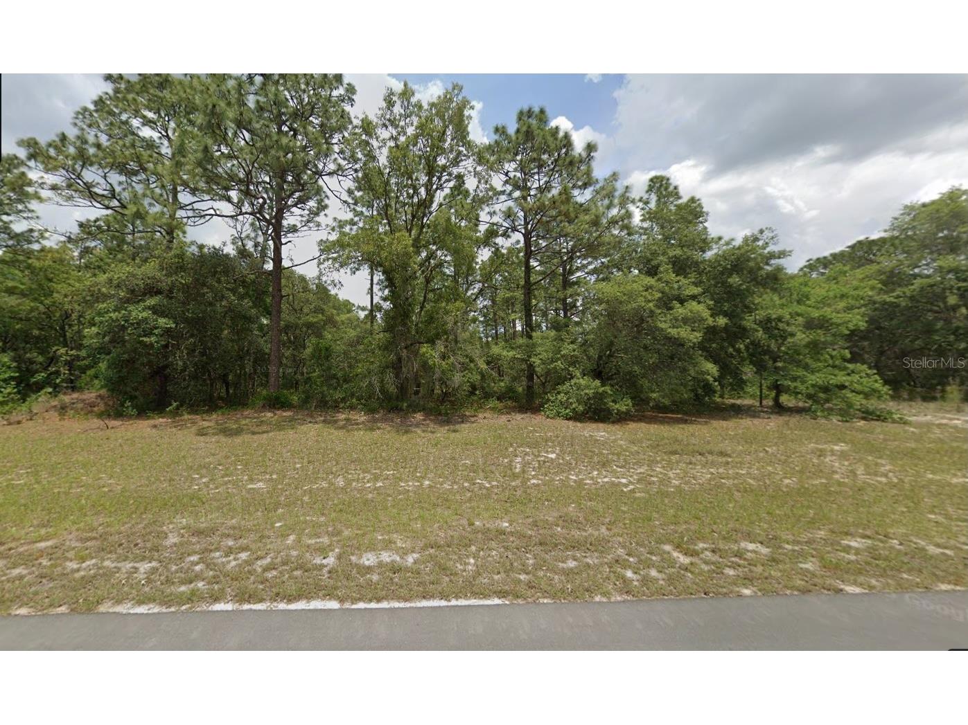 0 138th St Street #LOT 9 Ocala FL 34473 O6397577 image1