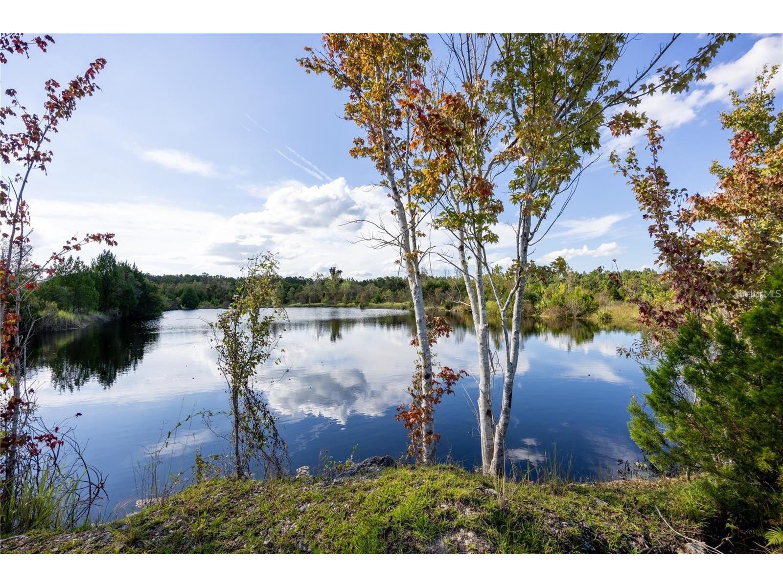 0 173rd Place Inglis FL 34449 GC537806 image1