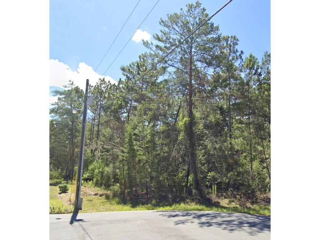 0 177th Pl Ocala FL 34473 O6200030 image1
