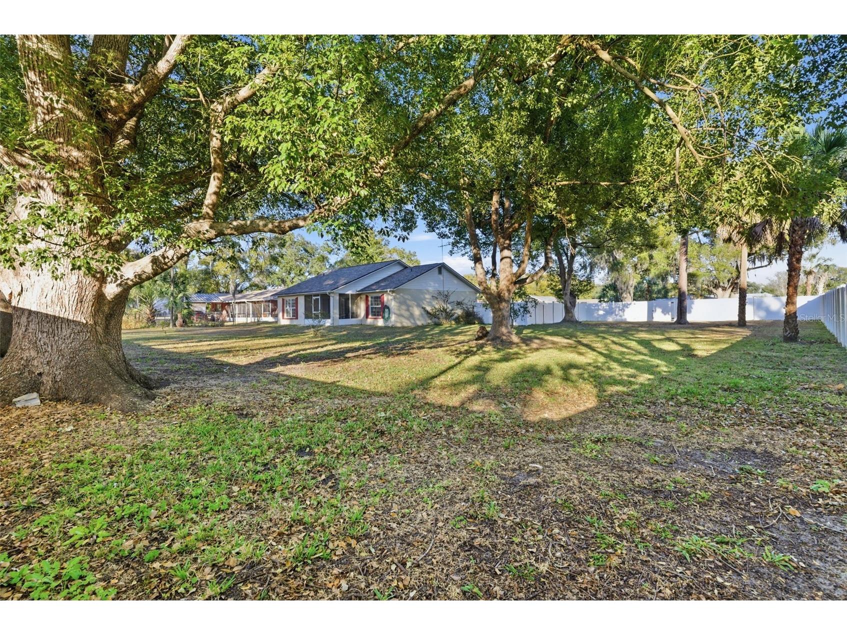 0 17th Street Zephyrhills FL 33542 TB8475077 image4