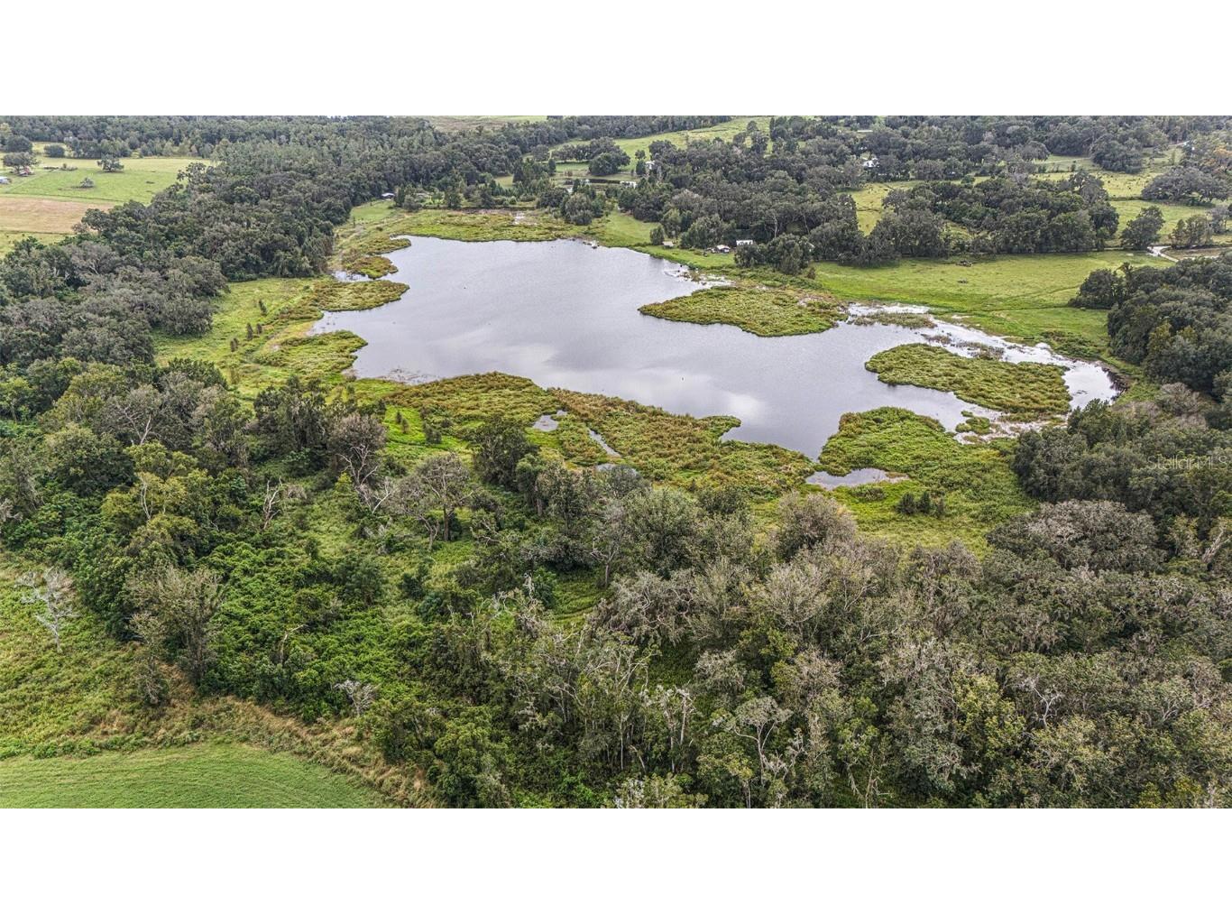 0 19-24-21-0000-00600-0010 Dade City FL 33526 TB8433047 image10