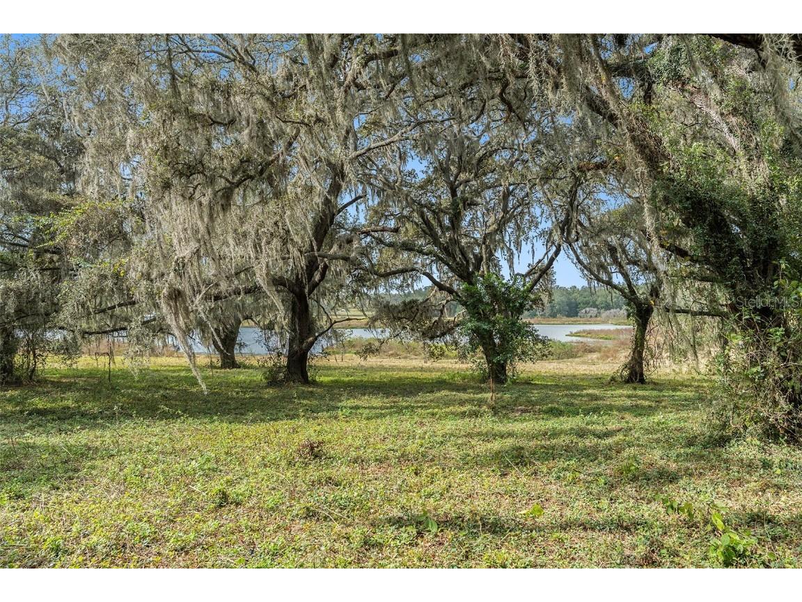 0 19-24-21-0000-00600-0010 Dade City FL 33526 TB8433047 image20