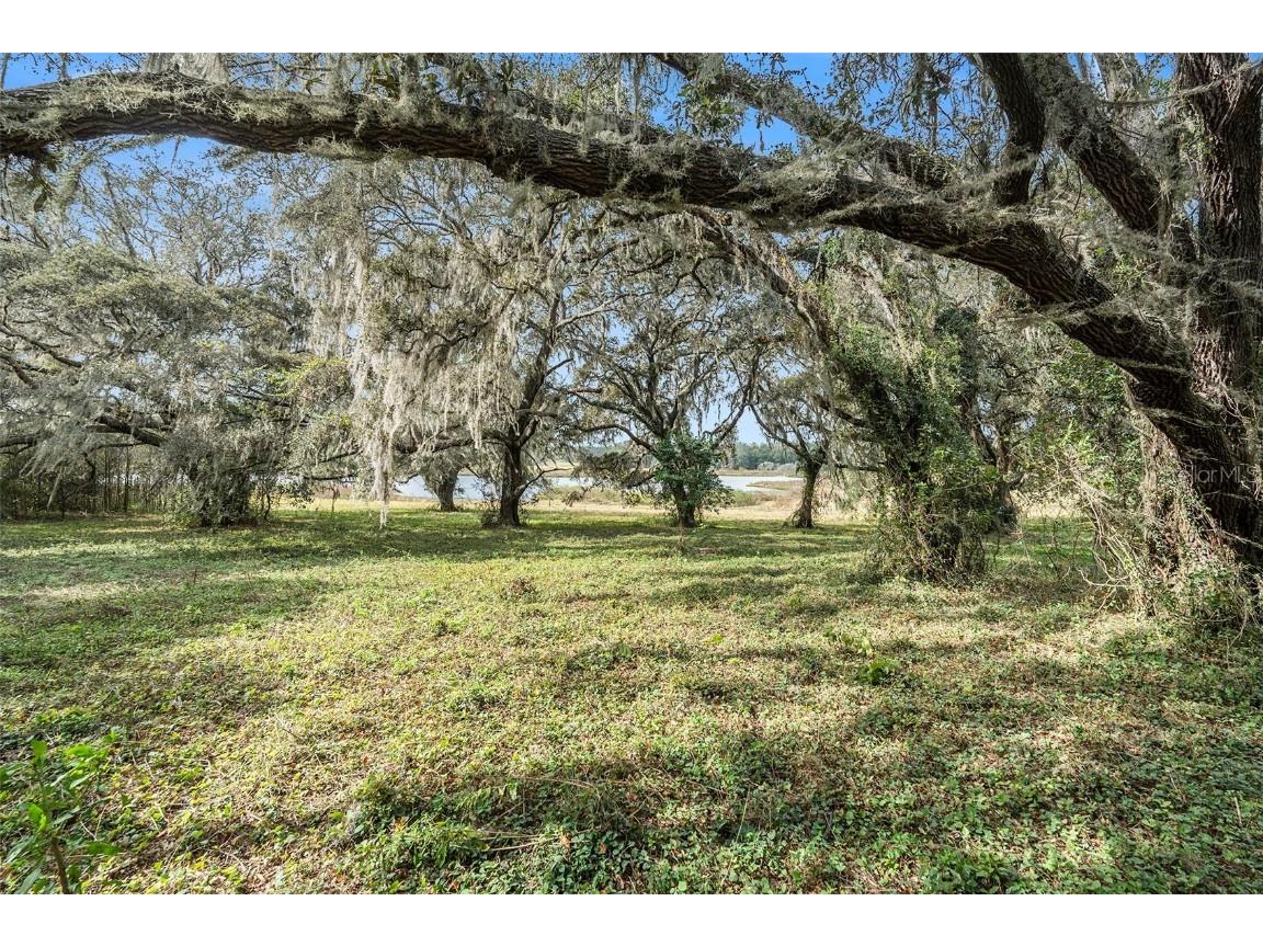 0 19-24-21-0000-00600-0010 Dade City FL 33526 TB8433047 image21