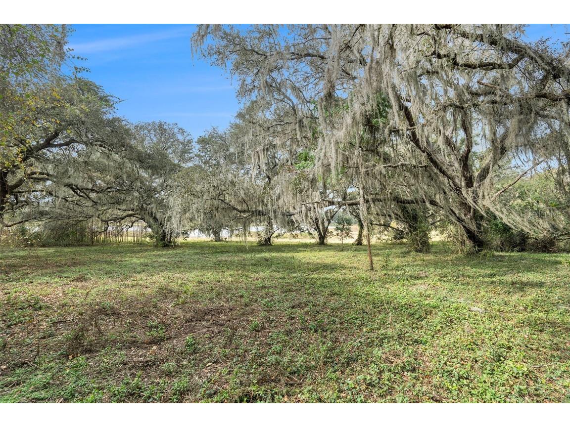 0 19-24-21-0000-00600-0010 Dade City FL 33526 TB8433047 image5