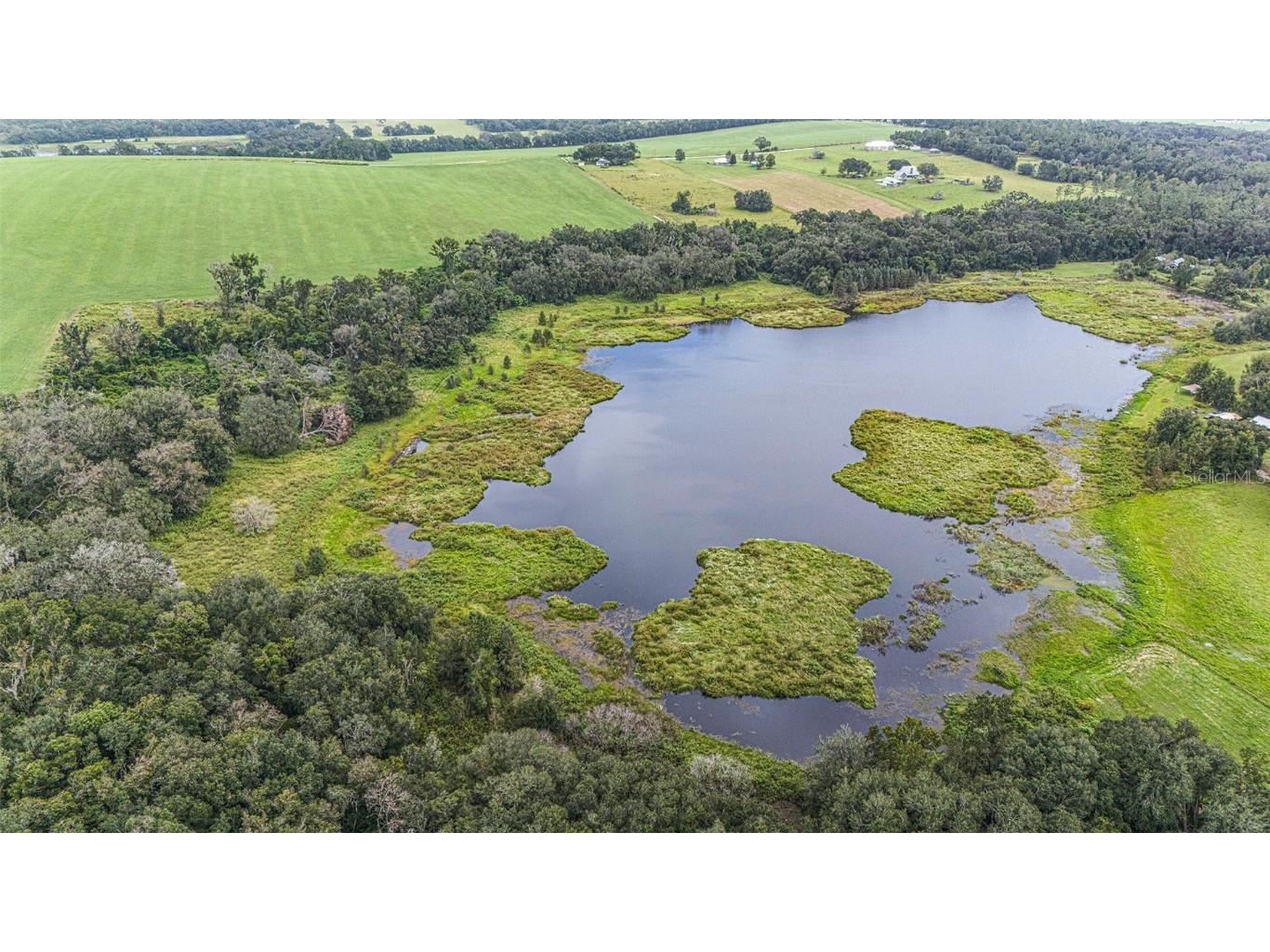 0 19-24-21-0000-00600-0010 Dade City FL 33526 TB8433047 image8