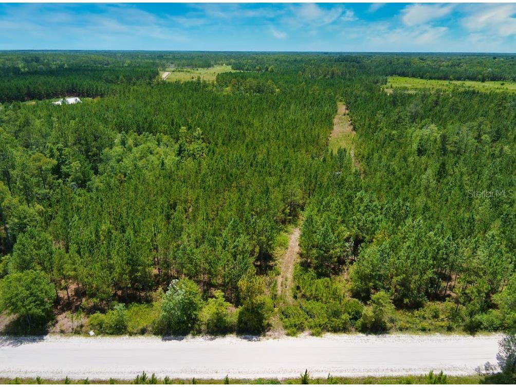 0 193rd Street Starke FL 32091 T3551314 image1