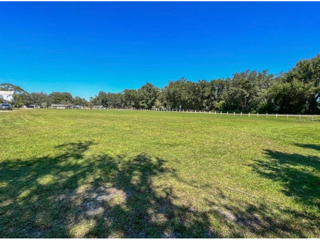 0 20th Street Zephyrhills FL 33542 T3468976 image1