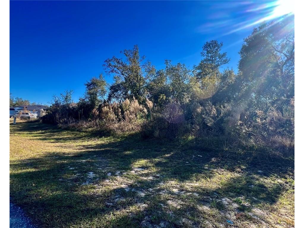 0 37 Circle Ocala FL 34473 OM715182 image3