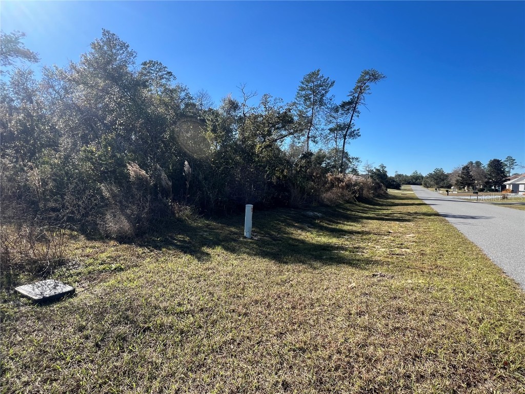 0 37 Circle Ocala FL 34473 OM715182 image5