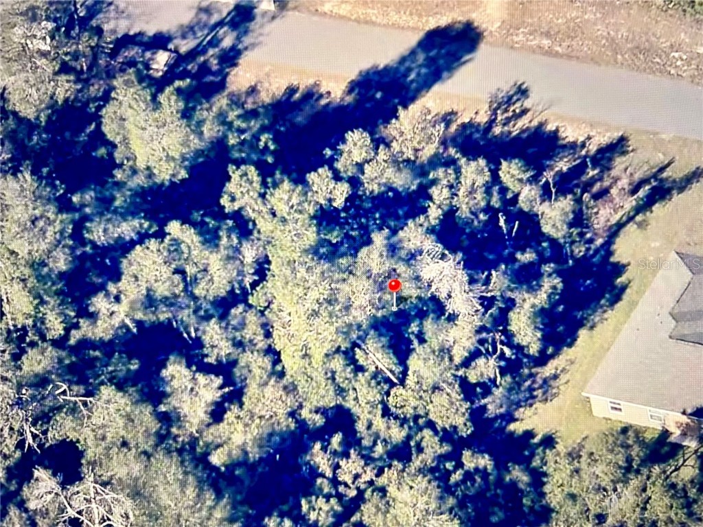 0 37 Circle Ocala FL 34473 OM715182 image6