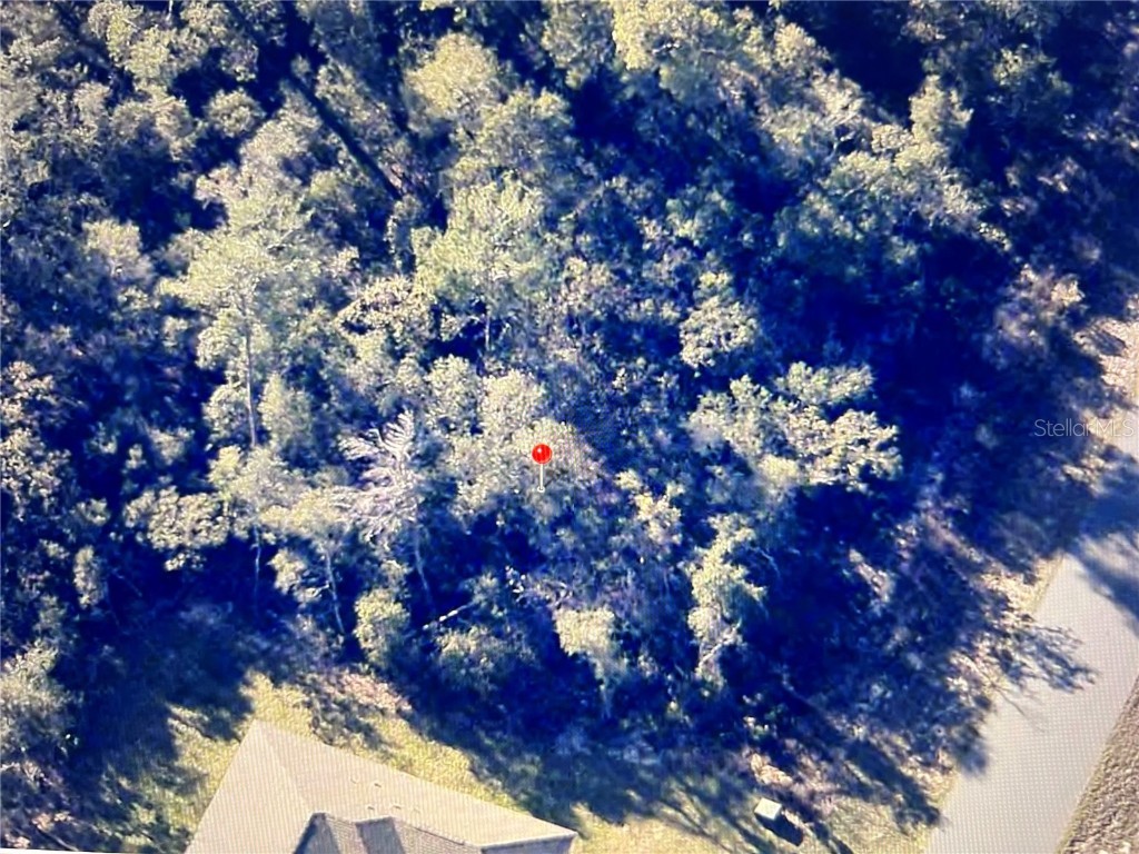 0 37 Circle Ocala FL 34473 OM715182 image7