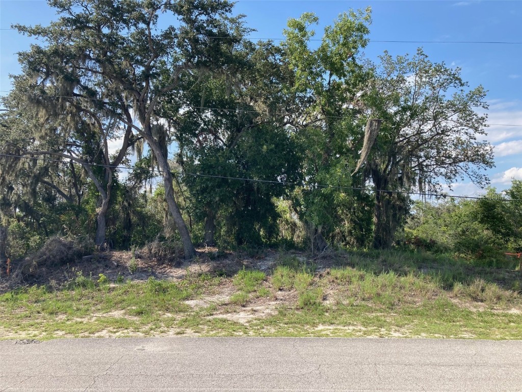 0 3rd Avenue Babson Park FL 33827 T3539684 image1