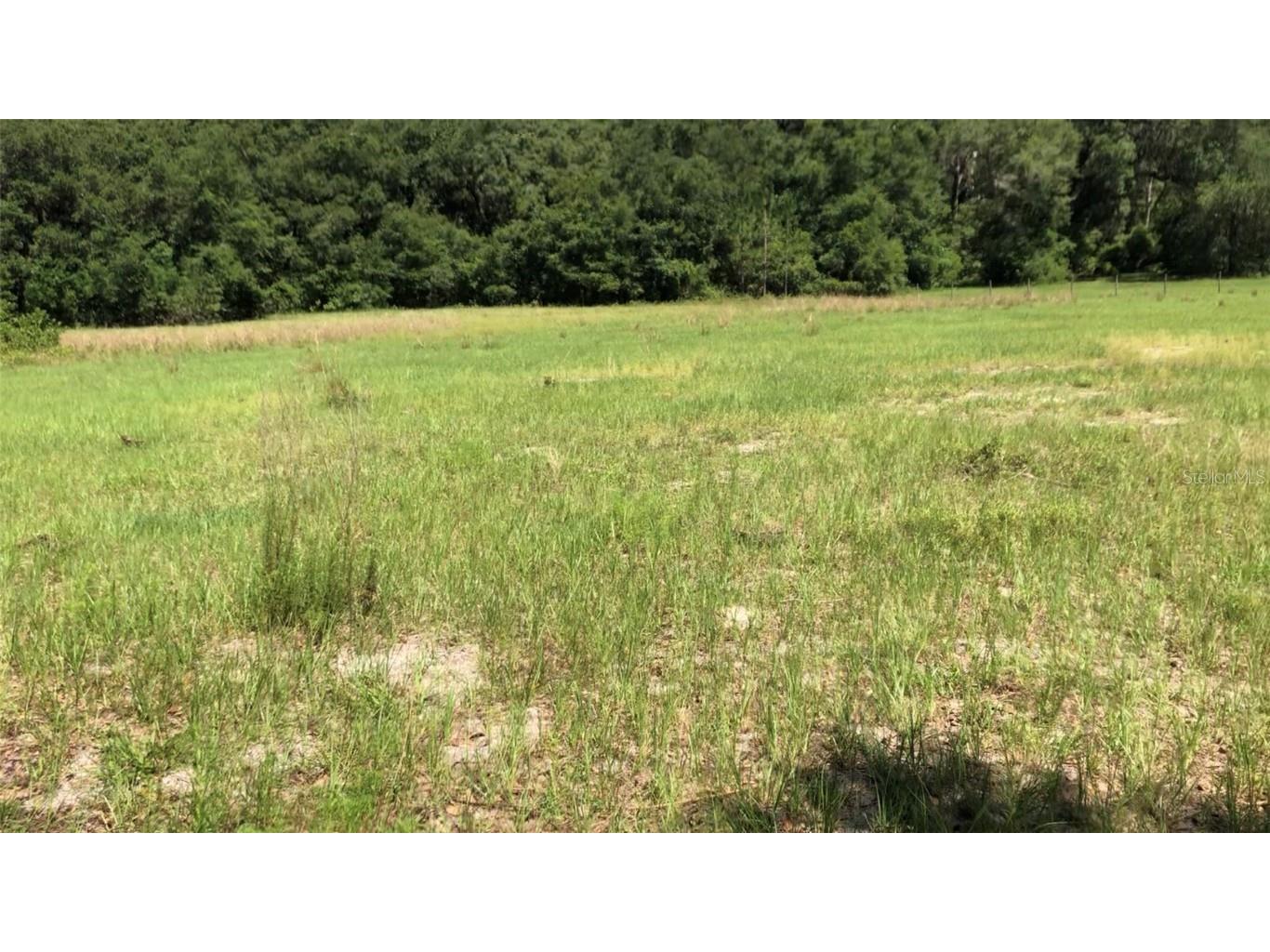 0 44th Bushnell FL 33513 T3351961 image1