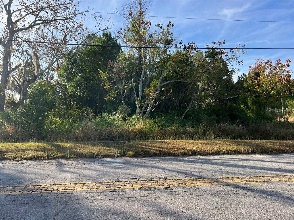 0 5th Avenue Babson Park FL 33827 L4957659 image1