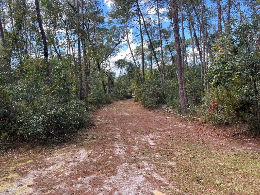 0 5th Street Altoona FL 32702 GC526027 image12