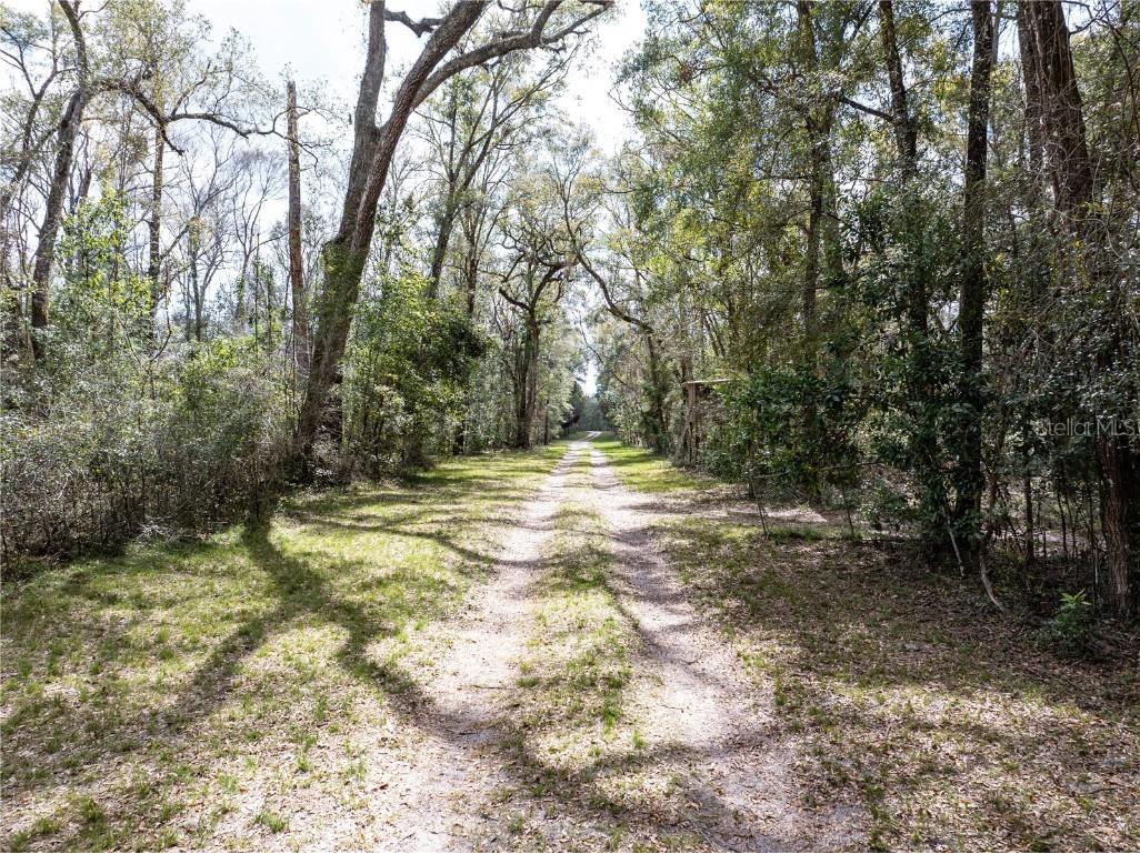 0 65th Place A Branford FL 32008 - SANTA FE RIVER GC528873 image14