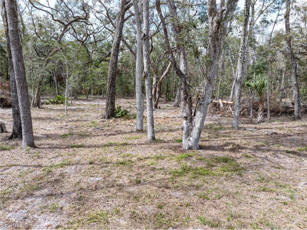 0 65th Place A Branford FL 32008 - SANTA FE RIVER GC528873 image66