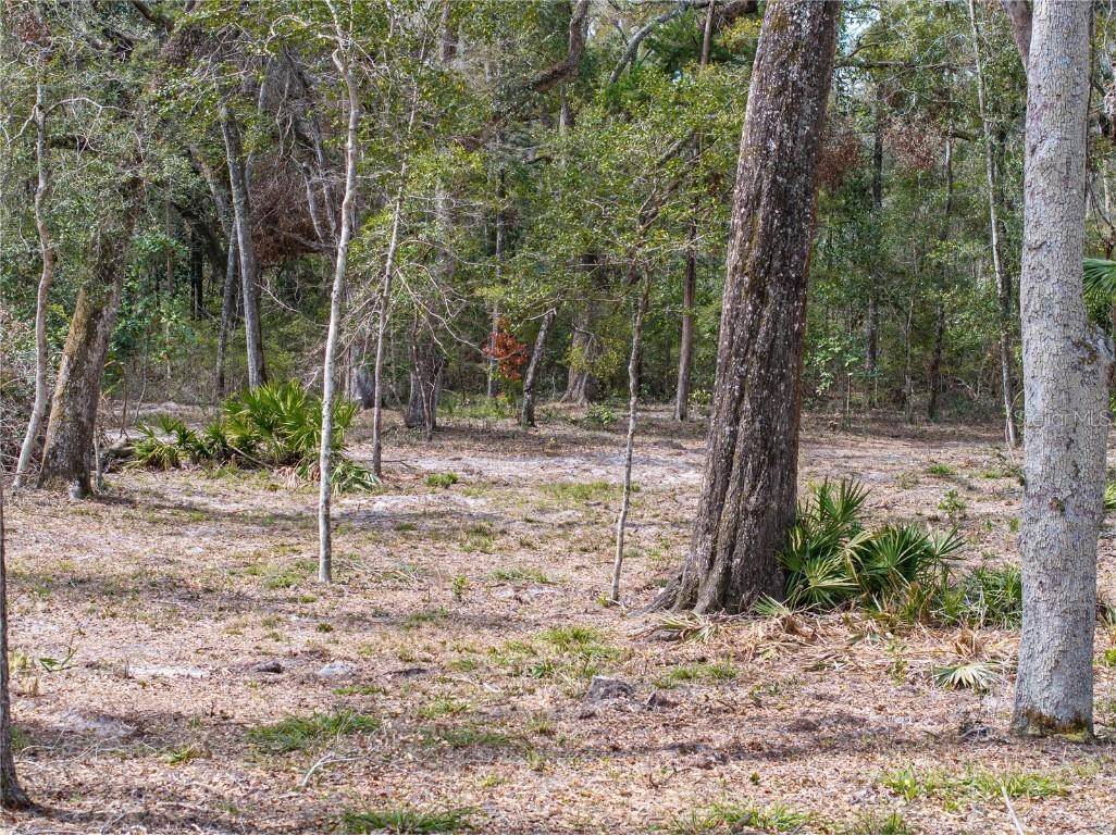 0 65th Place A Branford FL 32008 - SANTA FE RIVER GC528873 image67