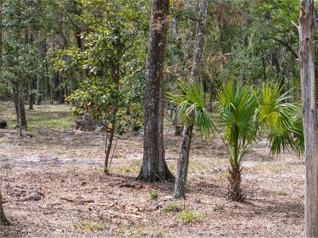 0 65th Place A Branford FL 32008 - SANTA FE RIVER GC528873 image68